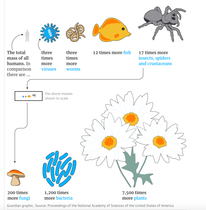 Screen Shot 2018-05-22 at 17.36.46