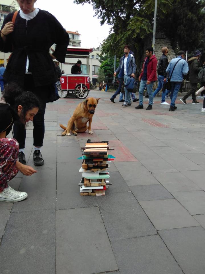 a8000f1b-adb6-464f-8b82-38895f8e1df8