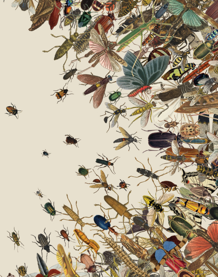 Screenshot 2018-12-04 at 08.59.41