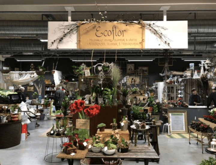 Screenshot 2019-02-01 at 17.53.53