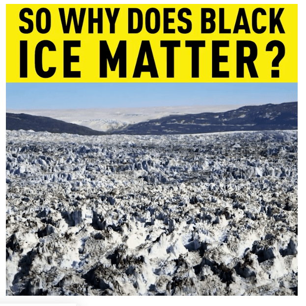 Screenshot 2019-05-06 at 12.46.30