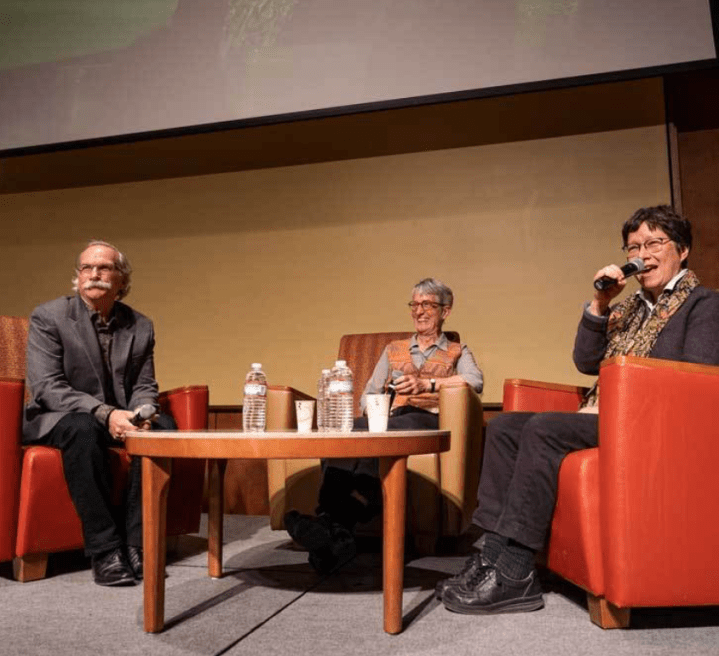 Screenshot 2019-08-11 at 15.37.37